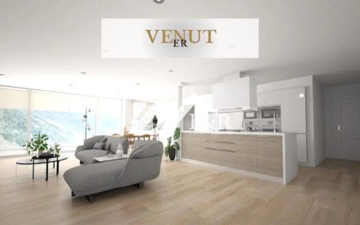 Espectacular apartament amb vistes a la vall d´Ordino.