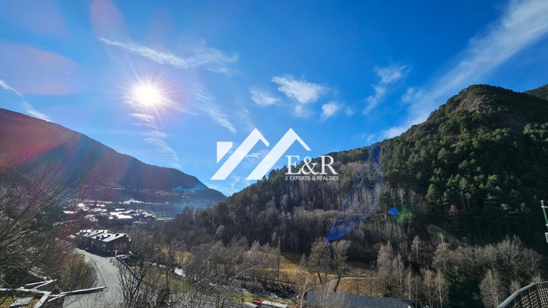 video image