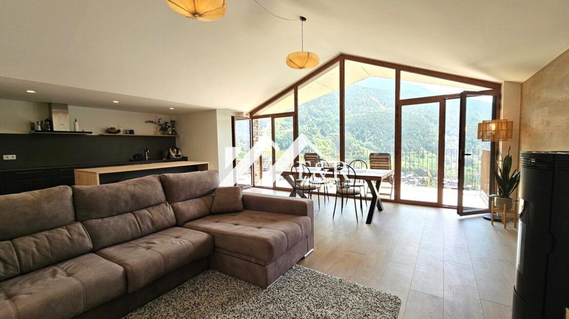 video image